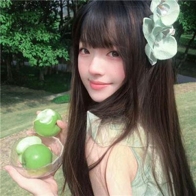 杜鹃花飞