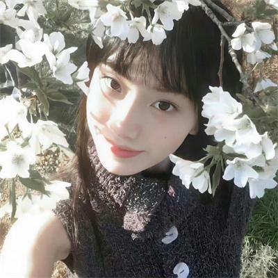 青色山脉
